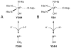 Scheme 39