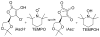 Scheme 16