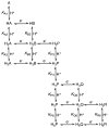 Scheme 31