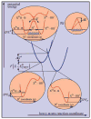 Figure 64