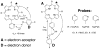 Figure 48