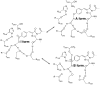 Figure 61