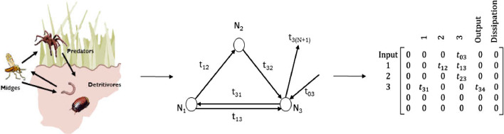 Fig. 2: