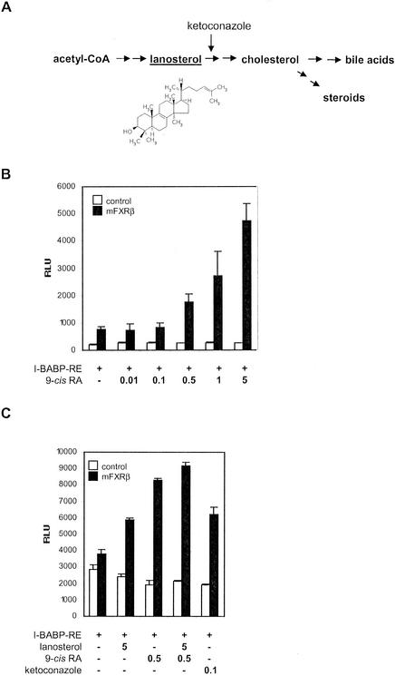 FIG. 6.