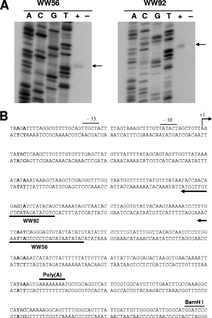 FIG. 6.