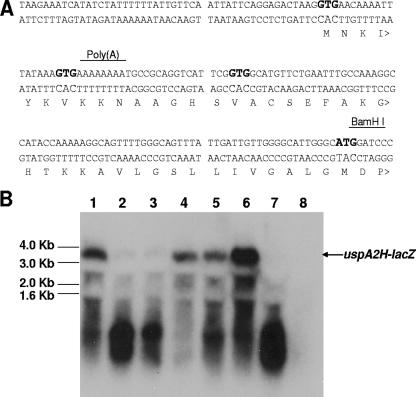 FIG. 5.