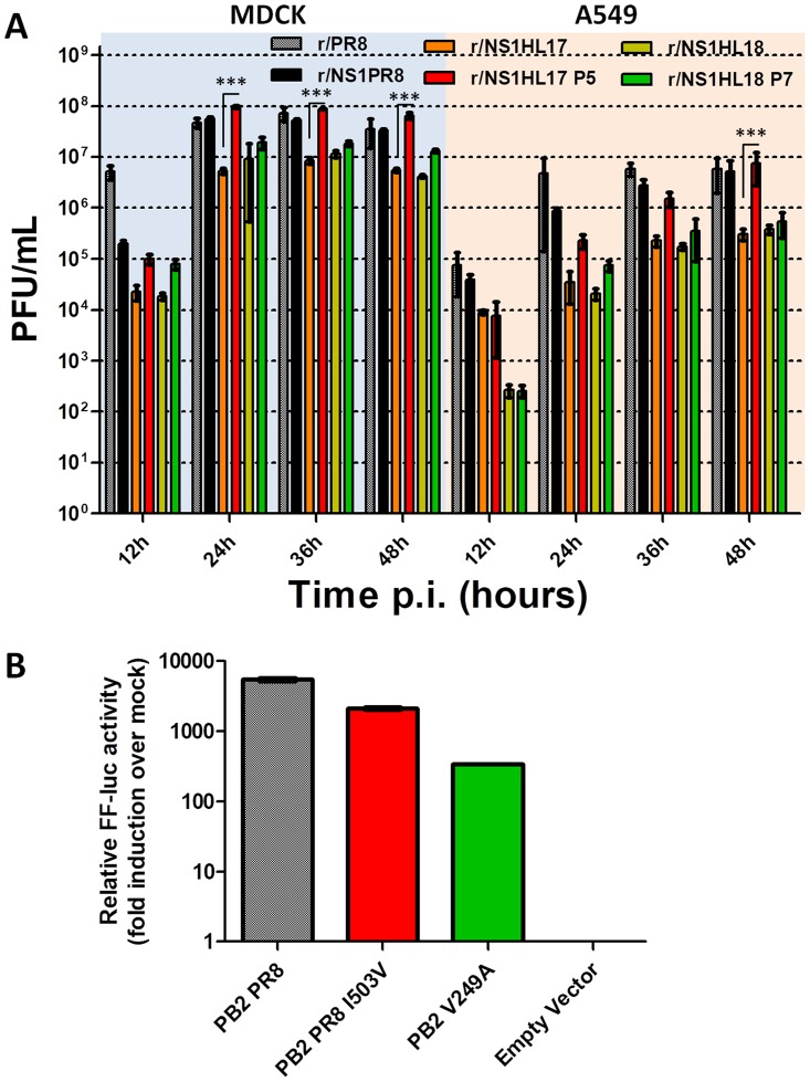 FIG 6