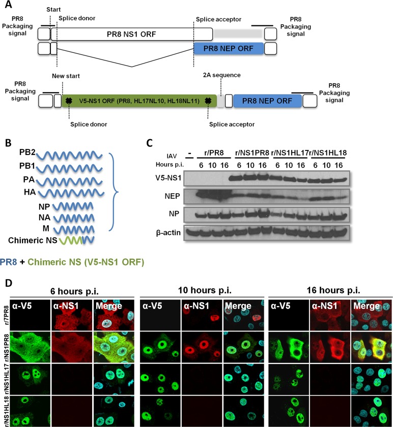 FIG 1