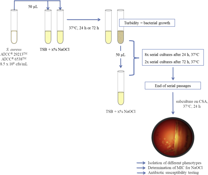 Figure 1