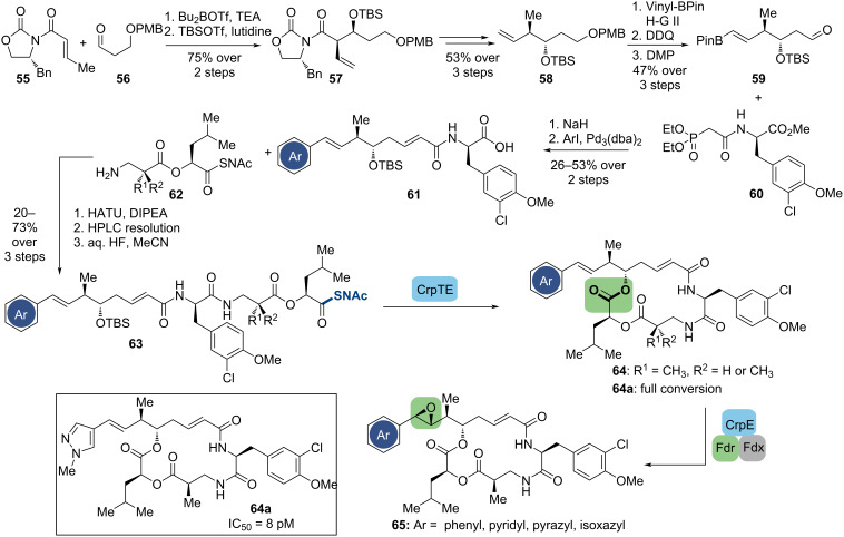 Scheme 8