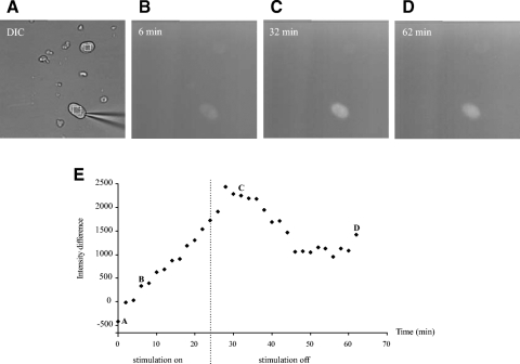 Fig. 1.