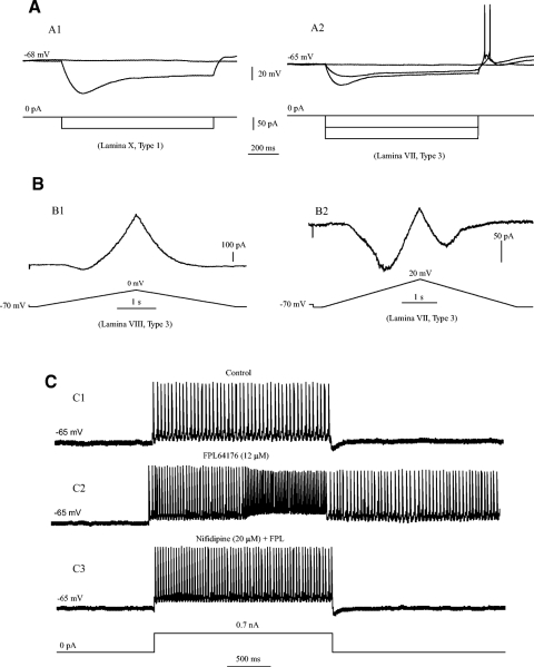 Fig. 6.