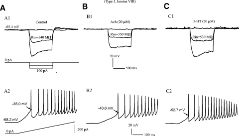 Fig. 10.