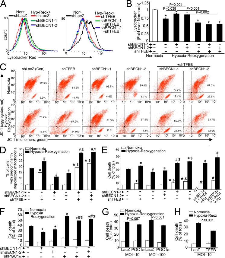 FIG 13