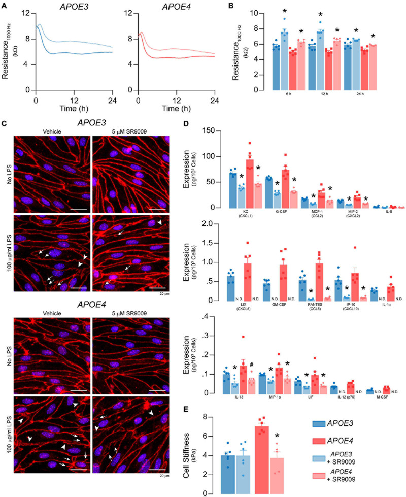 FIGURE 11