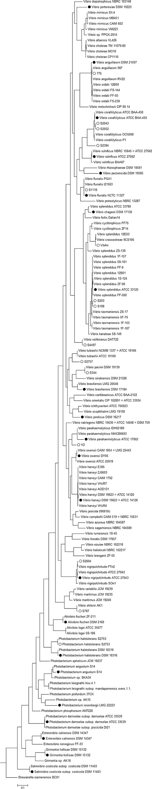 FIG 3