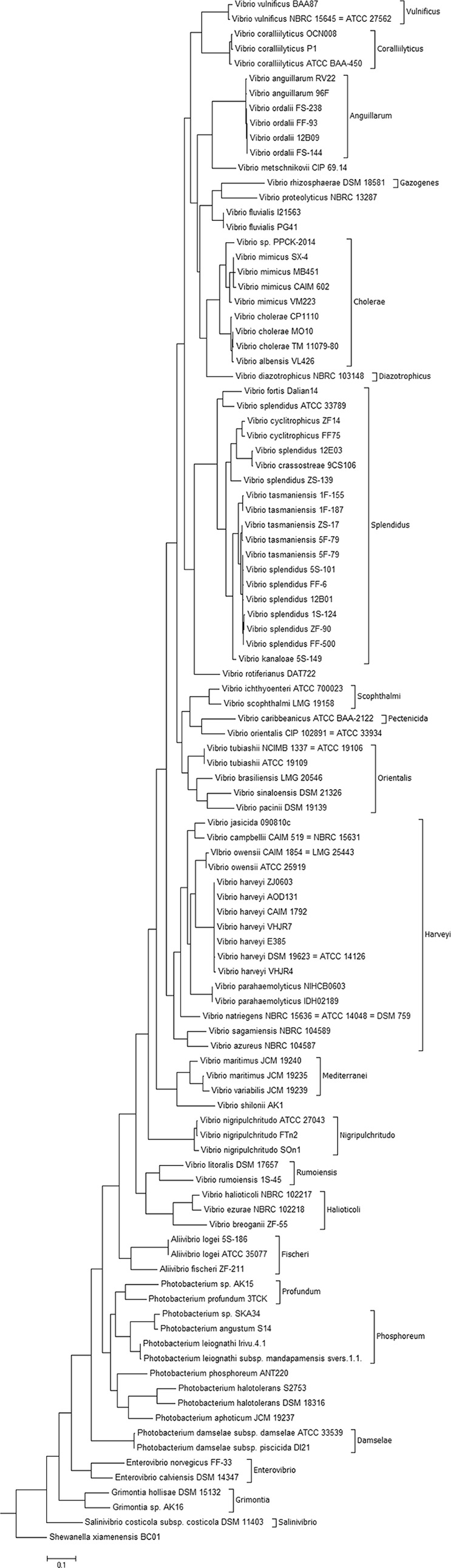 FIG 2