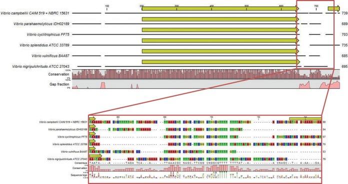 FIG 4