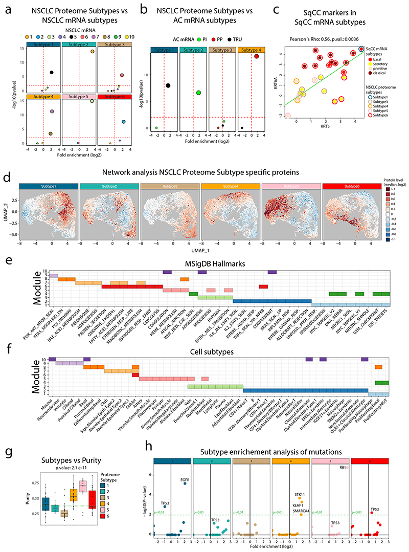 Extended Data Fig. 2