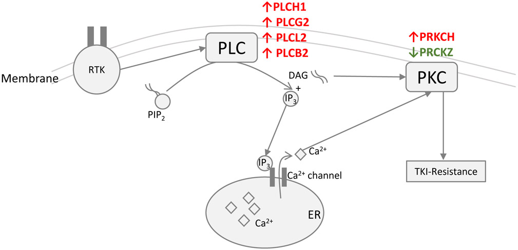 Fig 5