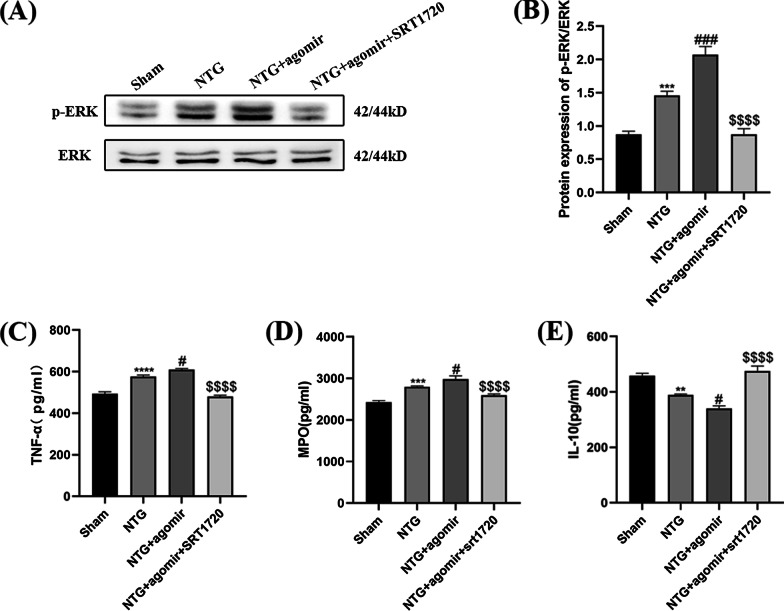 Fig. 14