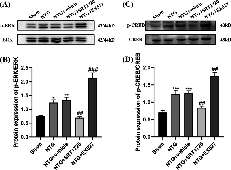 Fig. 11