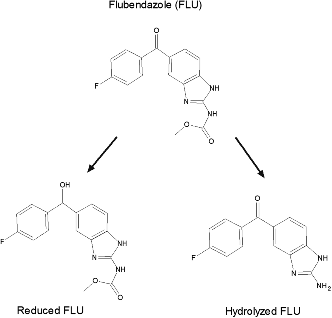 Figure 1