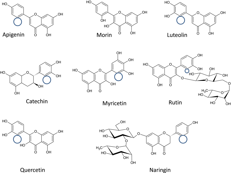 Figure 1