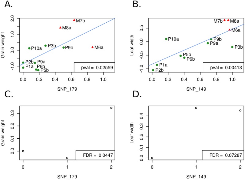 Fig 6