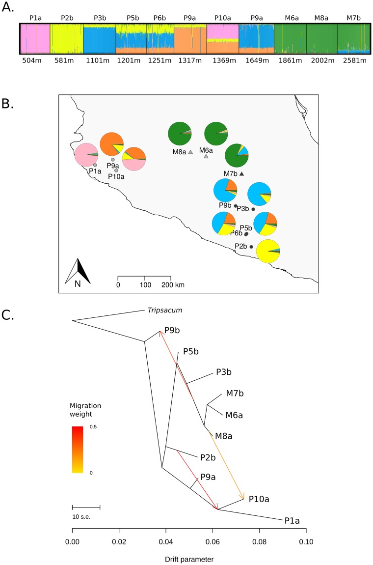 Fig 4