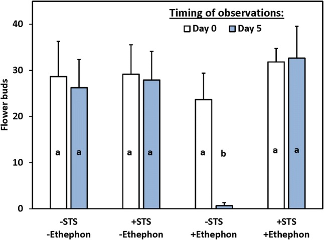 Fig. 4