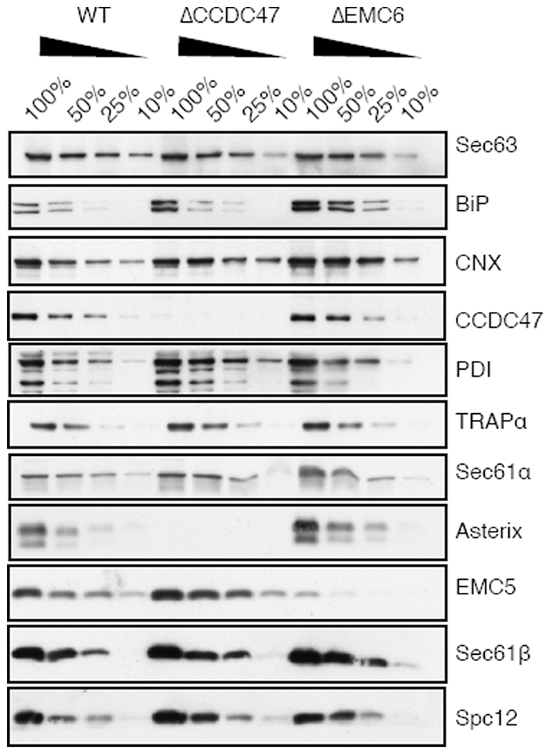 Extended Data Fig. 8