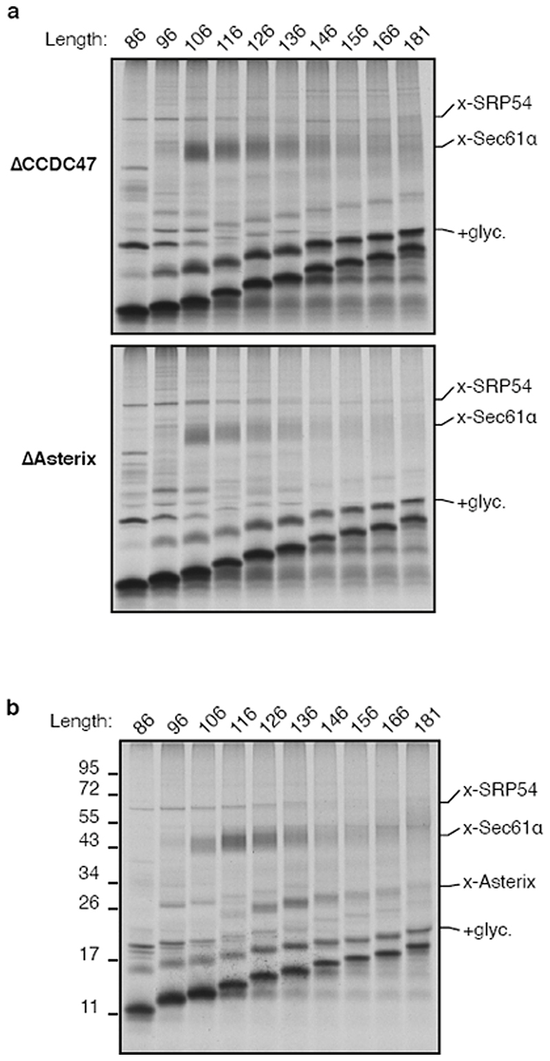 Extended Data Fig. 9