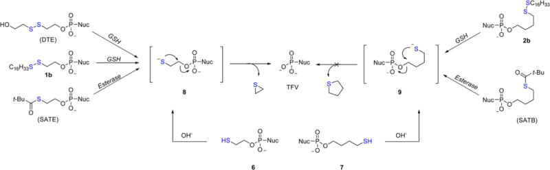 Scheme 2