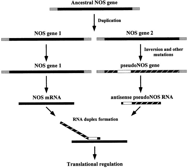 Fig. 10.