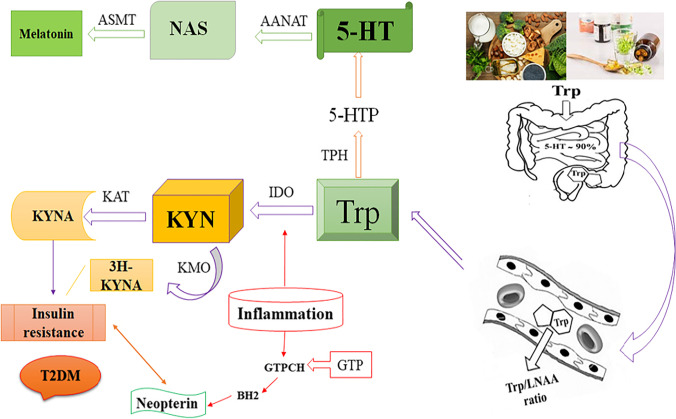 Fig. 3