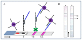 Figure 13.