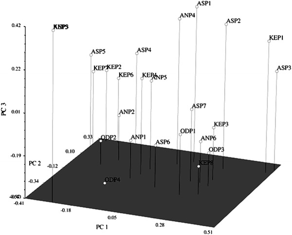 Fig. 4