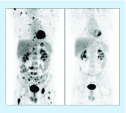 <b>Figure 9.</b>
