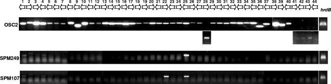 FIG. 3.