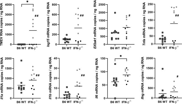 Figure 11