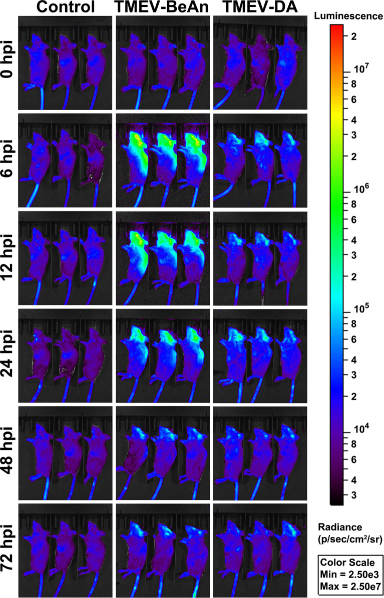 Figure 4