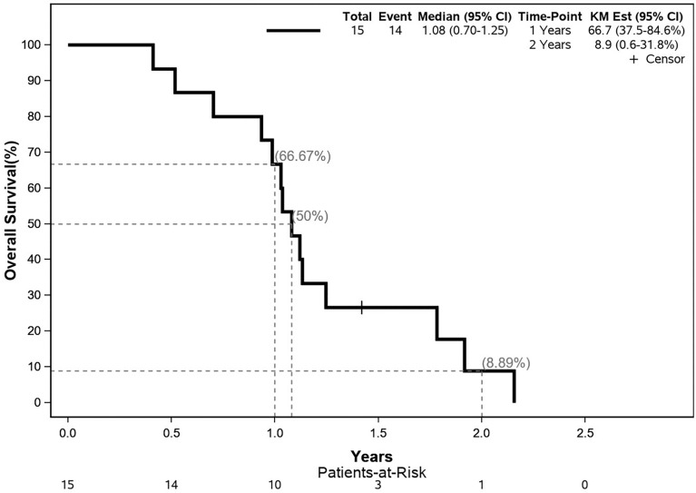 Fig. 2