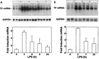 FIG. 1