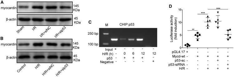 Figure 7