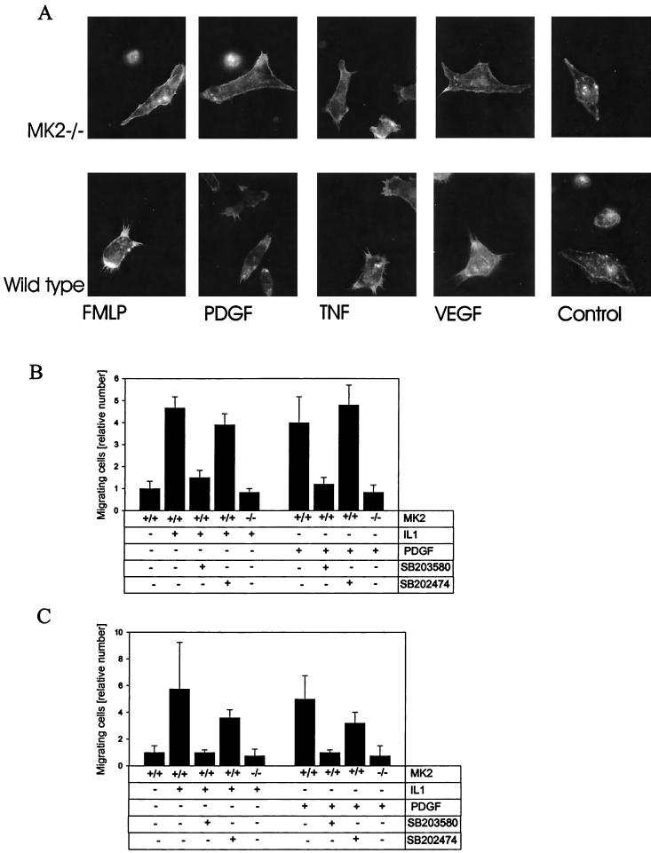 FIG. 3.