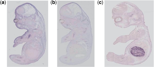 Fig. 5.