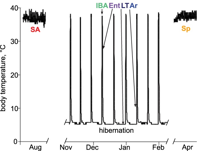 FIGURE 1.