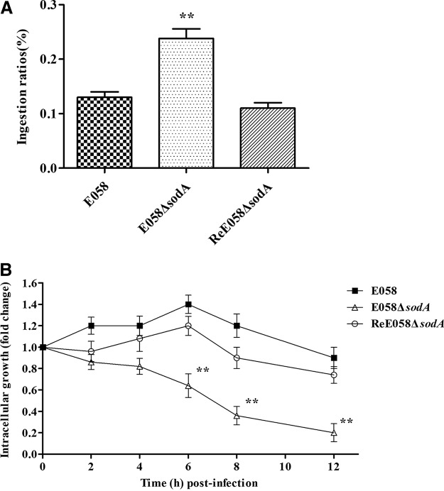 FIG 4