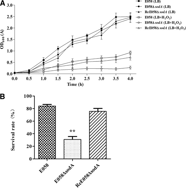 FIG 2